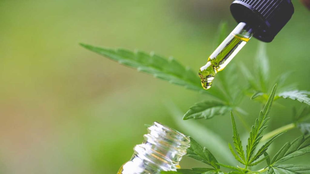 what does CBD stand for? hand holding a bottle with CBD hemp oil