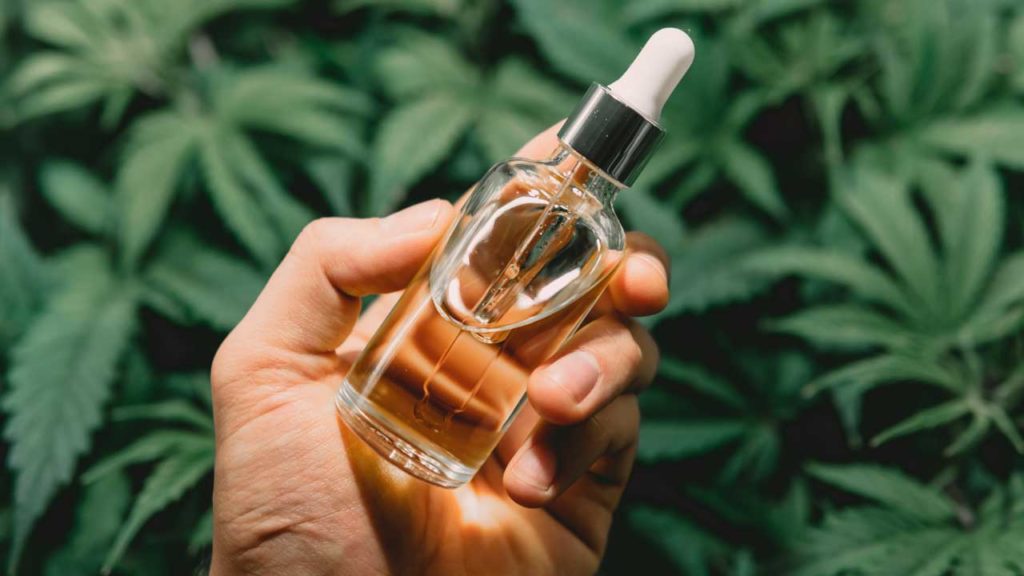 A bottle filled with the best CBD oil for anxiety with hemp plant leaves in the background