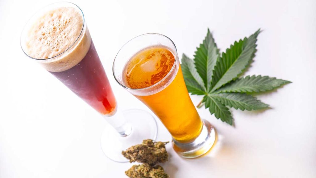 A cannabis leaf and nug next to two pilsner glasses of beer made with CBD and alcohol interactions