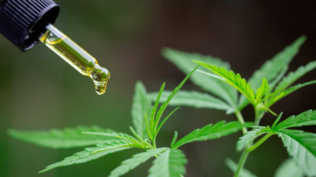 Discover what is the minimum age to buy CBD oil shown in the picture.