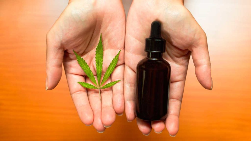 Hands holding cannabis tincture and leaа as illustration of Delta 10 effects vs Delta 8.