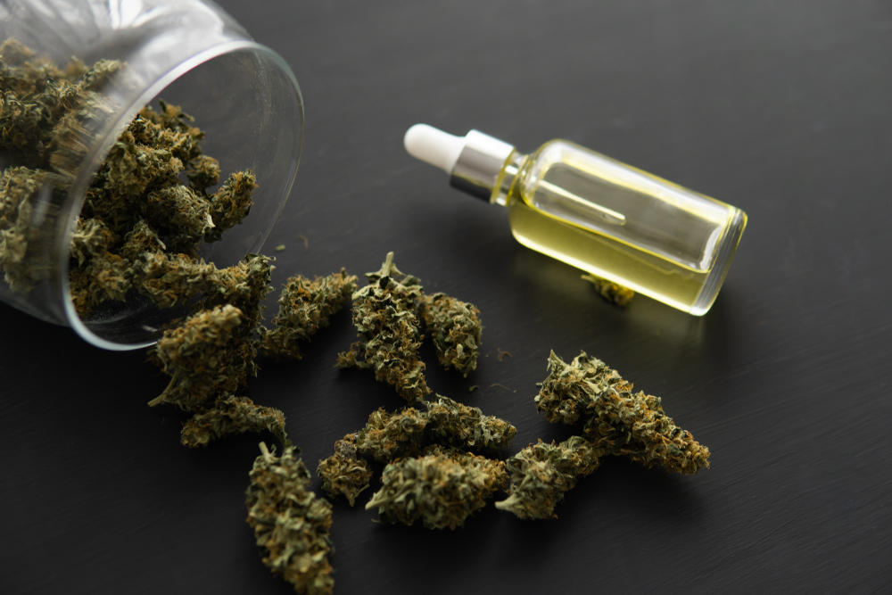 CBD oil extracted in a bottle; dried and crushed up cannabis buds - does CBD oil work for tooth pain?
