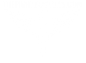 The Fight Doctor logo