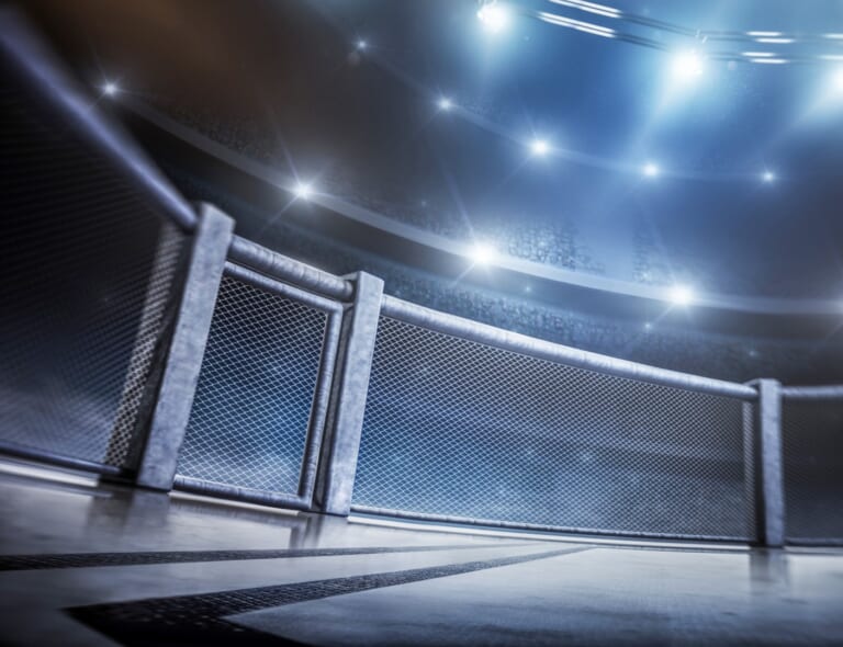 Step by Step Guide: How to Prepare For Your MMA Fight