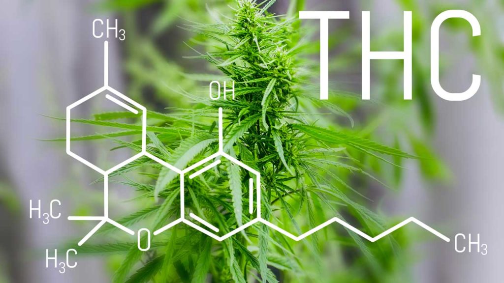 The chemical structure of THC molecules is the main difference in d8 vs d10.