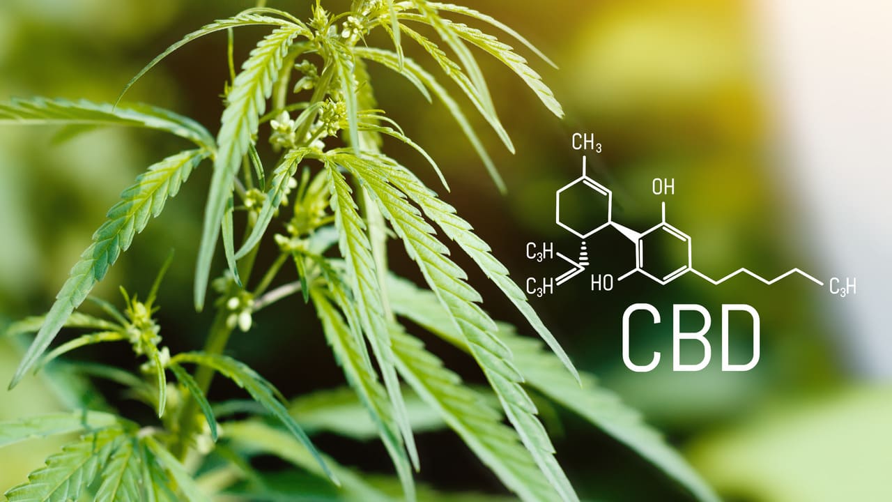 Is CBD addictive? Learn the truth from our specialists and understand all the benefits of CBD.
